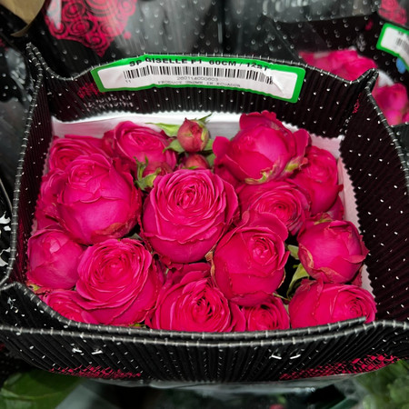 Кустовая роза Giselle Spray Rose