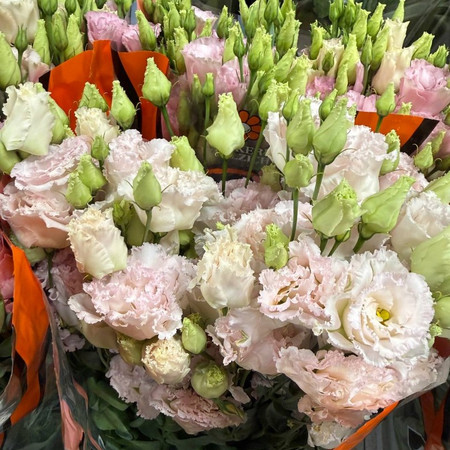 Эустома (Lisianthus)