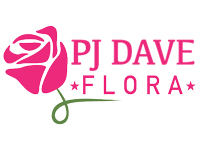 PJ DAVE