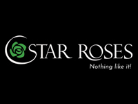 Star Roses