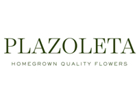 Plazoleta