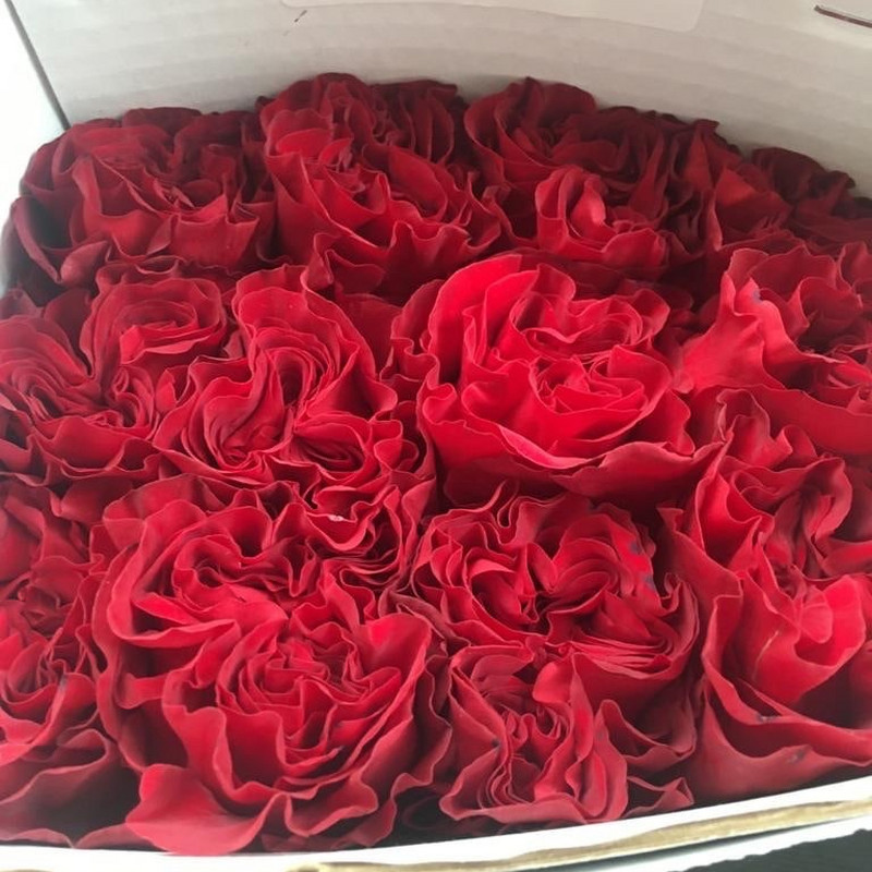Роза Hearts