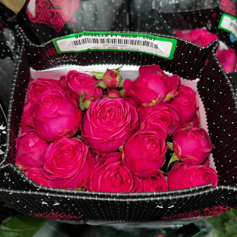 Кустовая роза Giselle Spray Rose