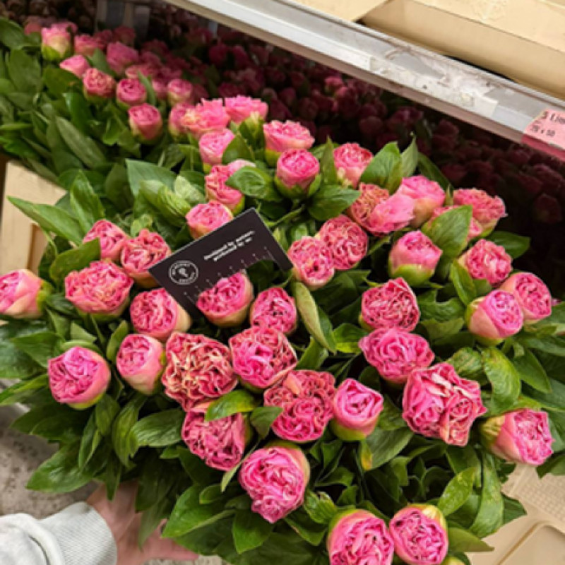 Carnation Bouquet