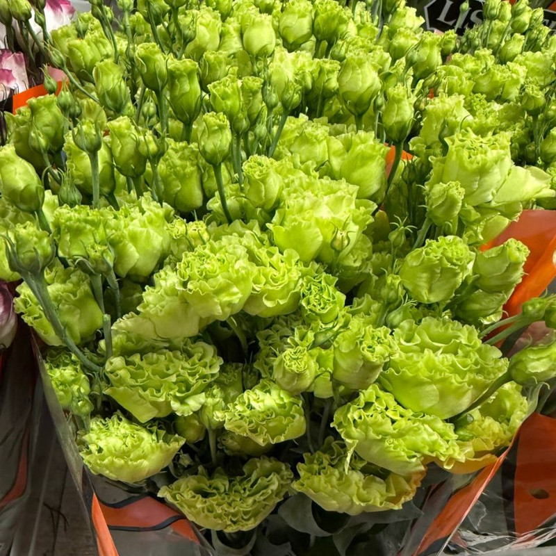 Эустома (Lisianthus)