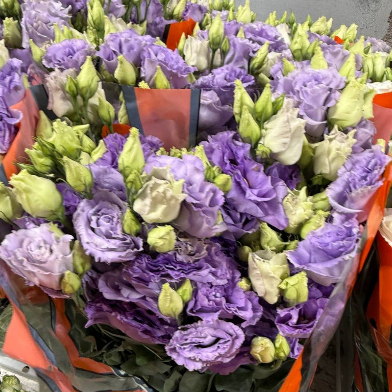 Эустома (Lisianthus)